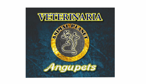 cl13-angupets